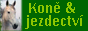Kon� & jezdectv�